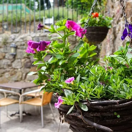 The Casa de hóspedes