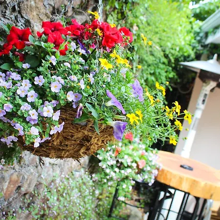 The Casa de hóspedes